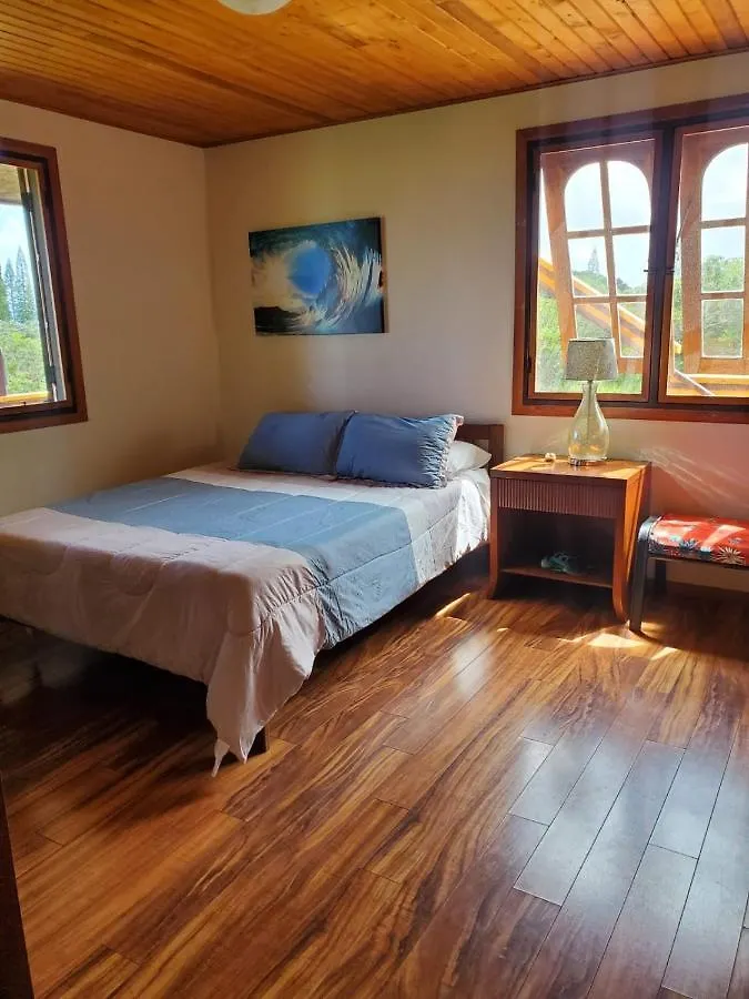 Off-Grid Getaway With Ocean Views In Paradise Pahoa