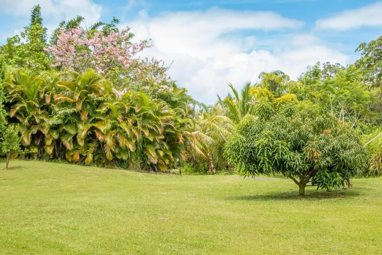 Off-Grid Getaway With Ocean Views In Paradise Pahoa
