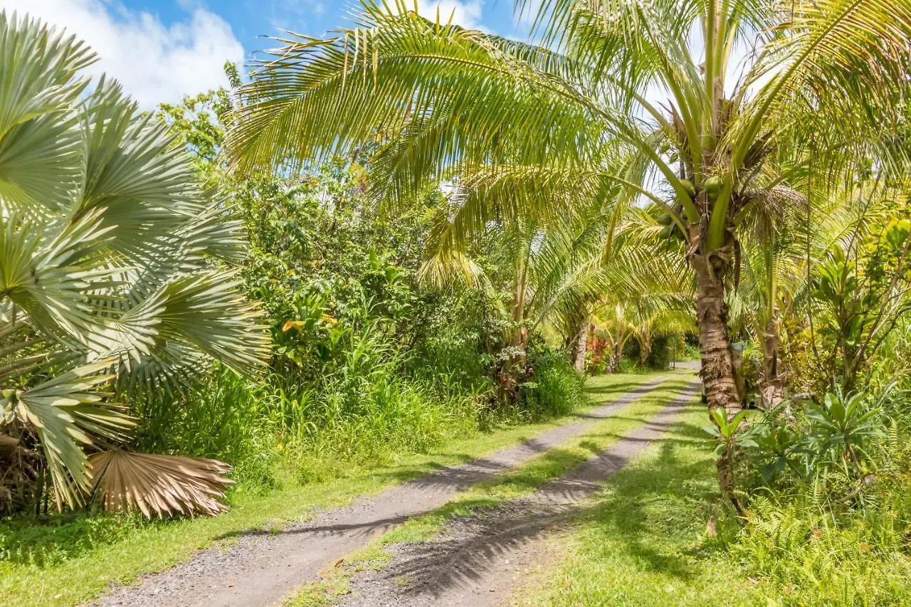 Off-Grid Getaway With Ocean Views In Paradise Pahoa