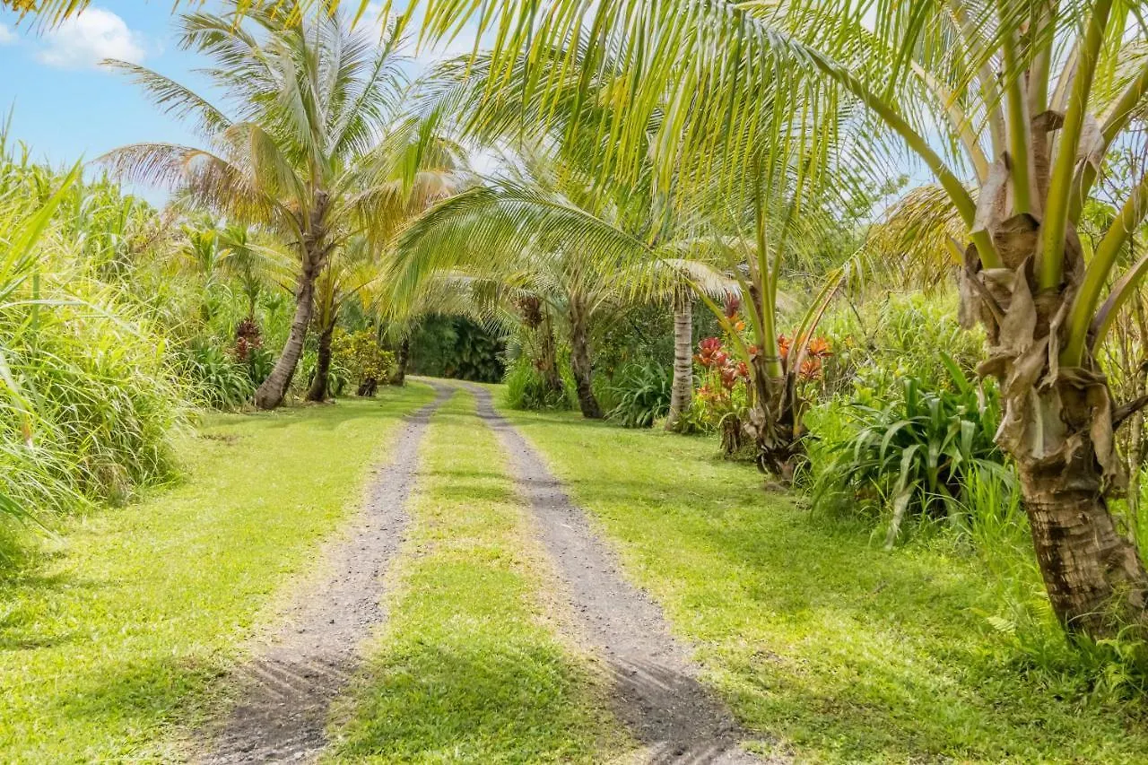 Privatunterkunft Off-Grid Getaway With Ocean Views In Paradise Pahoa