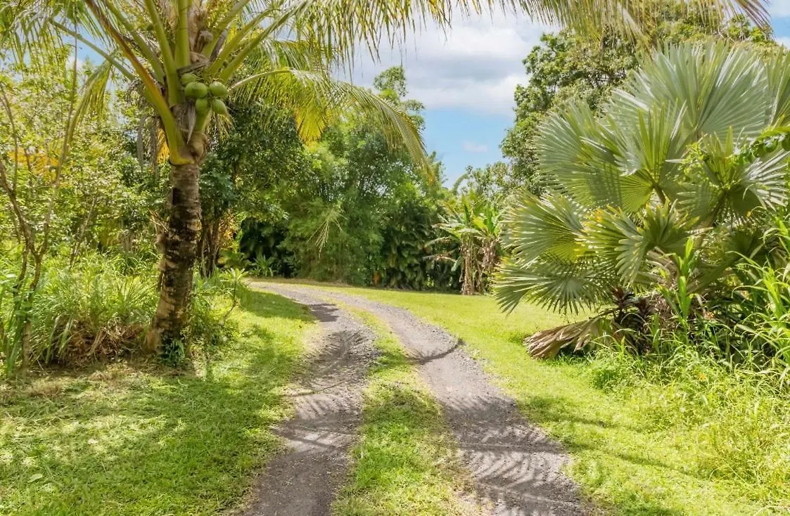 Off-Grid Getaway With Ocean Views In Paradise Pahoa 0*,