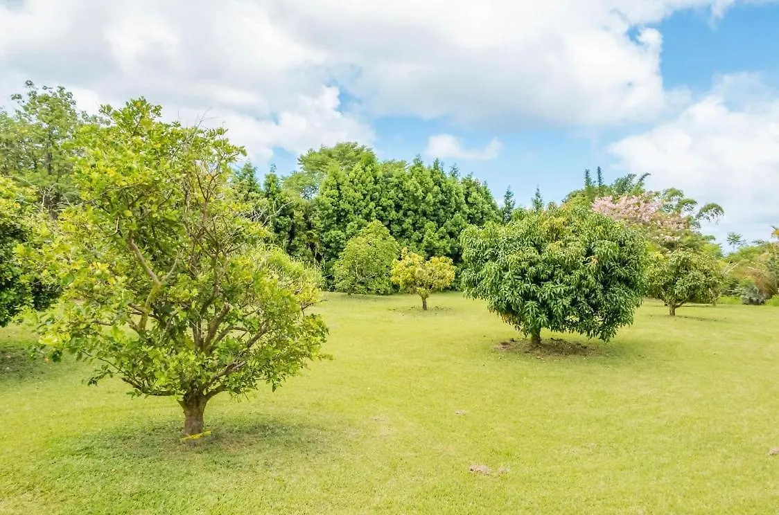 Off-Grid Getaway With Ocean Views In Paradise Pahoa Privatunterkunft