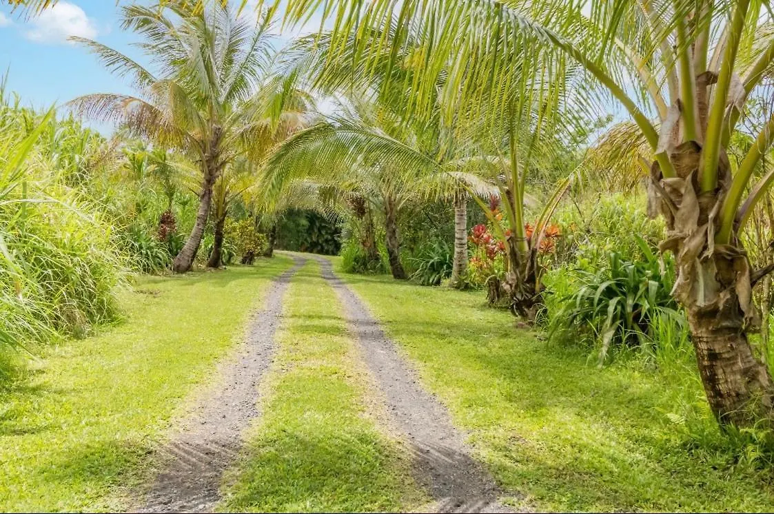 Off-Grid Getaway With Ocean Views In Paradise Pahoa USA